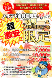 メルマガ会員様限定！<br />超激安フリー限定イベント