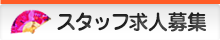 スタッフ求人